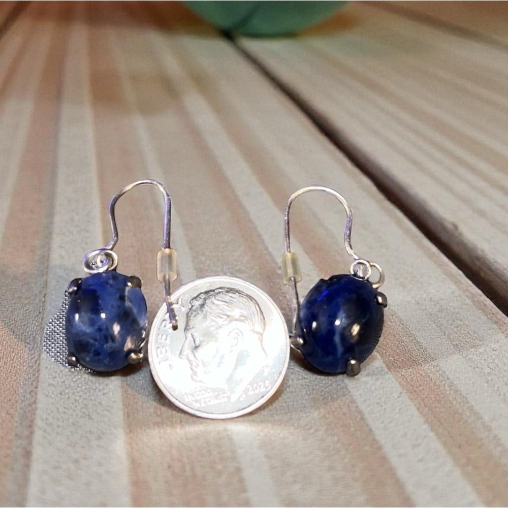 Gorgeous Silver Blue Sodalite Drop Earrings